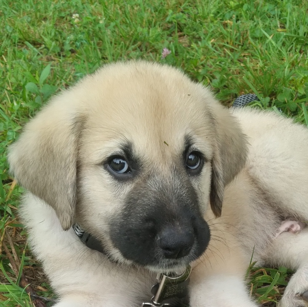 Meet your Posher, Nikita
